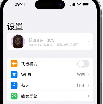 腾冲appleID维修服务iPhone设置中Apple ID显示为灰色无法使用 