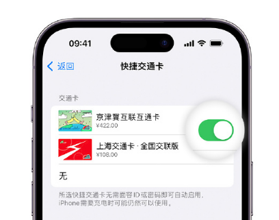 腾冲apple维修点分享iPhone上更换Apple Pay快捷交通卡手绘卡面 