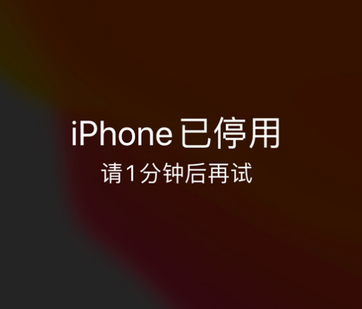 腾冲苹果手机维修分享:iPhone 显示“不可用”或“已停用”怎么办？还能保留数据吗？ 