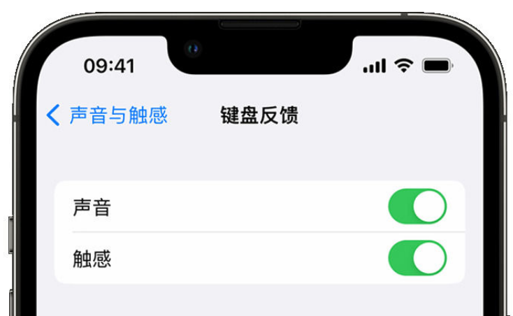 腾冲苹果手机维修分享iPhone 14触感键盘使用方法 