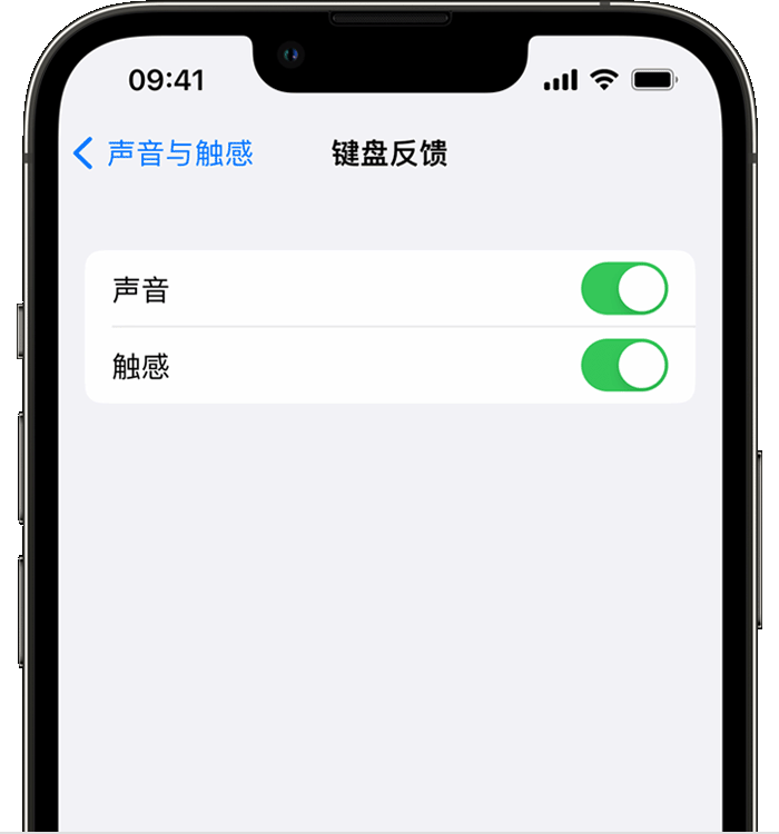 腾冲苹果14维修店分享如何在 iPhone 14 机型中使用触感键盘 