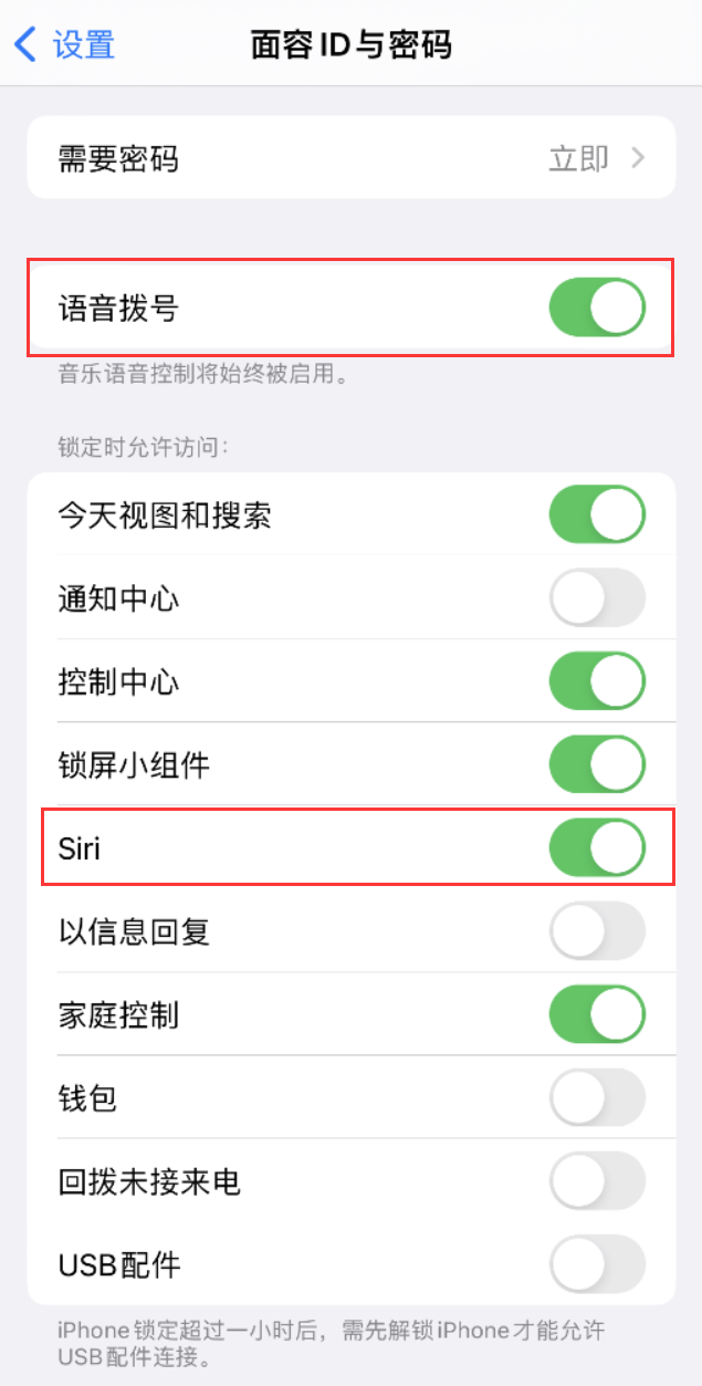 腾冲苹果维修网点分享不解锁 iPhone 的情况下通过 Siri 拨打电话的方法 