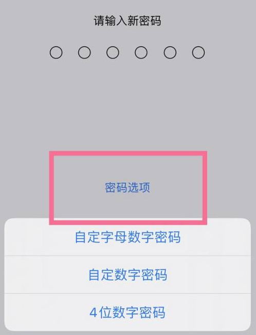 腾冲苹果14维修分享iPhone 14plus设置密码的方法 