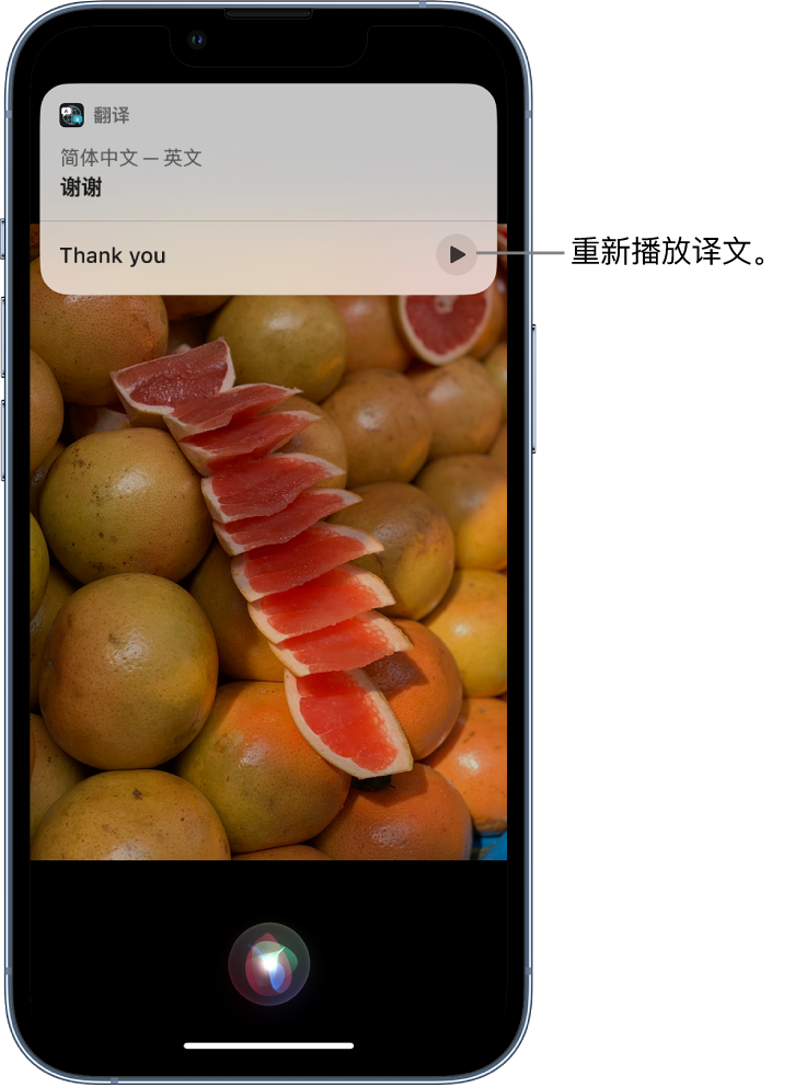 腾冲苹果14维修分享 iPhone 14 机型中使用 Siri：了解 Siri 能帮你做什么 