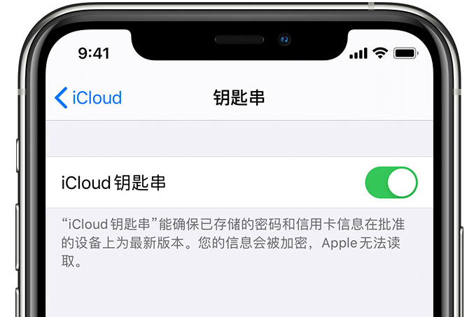 腾冲苹果手机维修分享在 iPhone 上开启 iCloud 钥匙串之后会储存哪些信息 