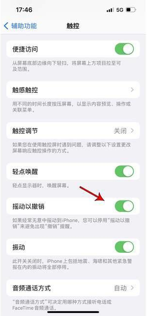 腾冲苹果手机维修分享iPhone手机如何设置摇一摇删除文字 